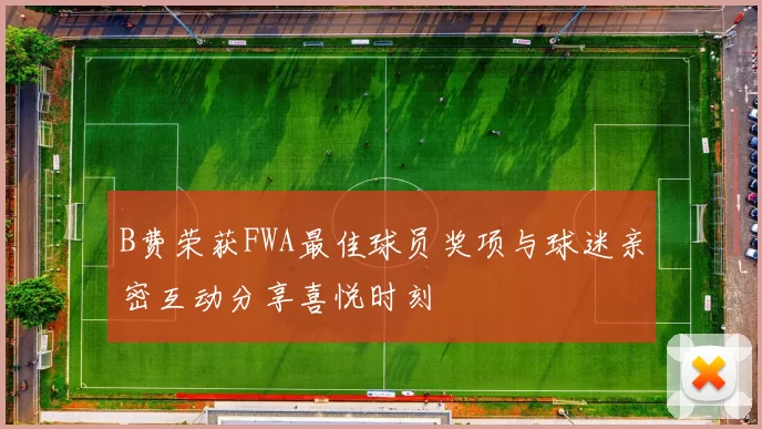 B费荣获FWA最佳球员奖项与球迷亲密互动分享喜悦时刻