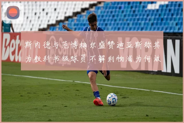 斯内德与范博梅尔盛赞迪亚斯称其为教科书级球员不解利物浦为何放弃他